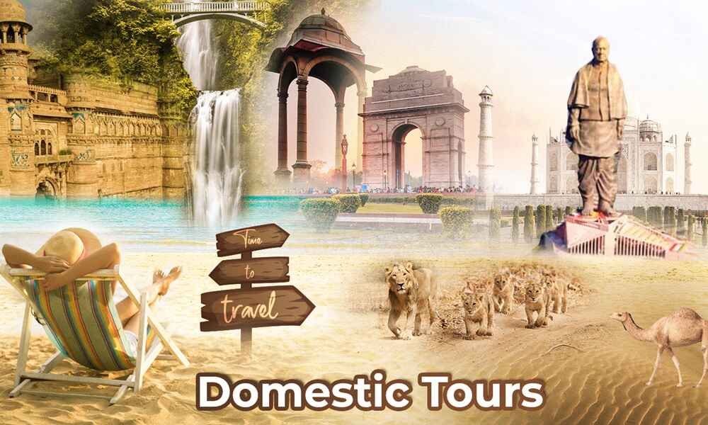 Domestic Tours