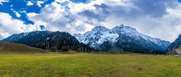 Magnificent Kashmir