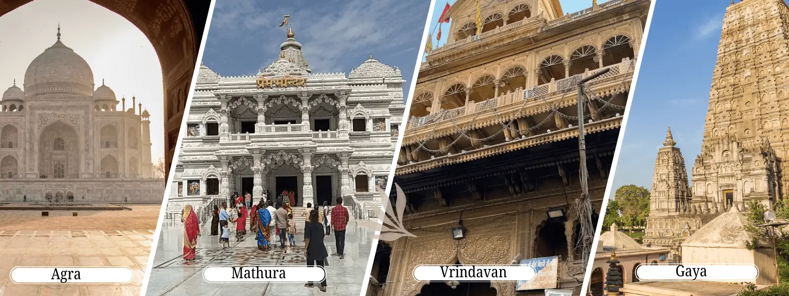 Serenity Soul Holidays Pvt Ltd